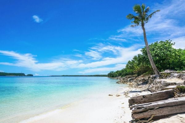 Sandy beach and blue sea with a palm tree in Guam