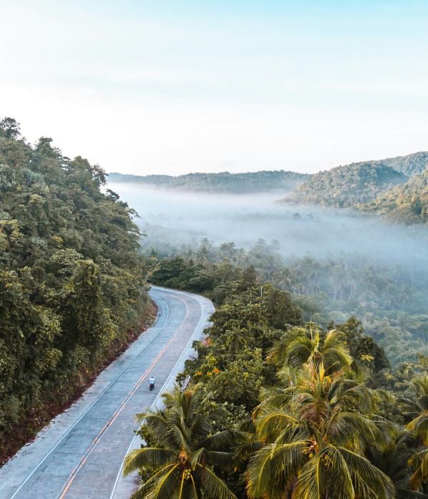 Road in the jungle in the Philippines