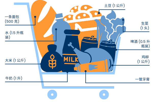 Groceries in Pakistan for $10 in Simplified Chinese