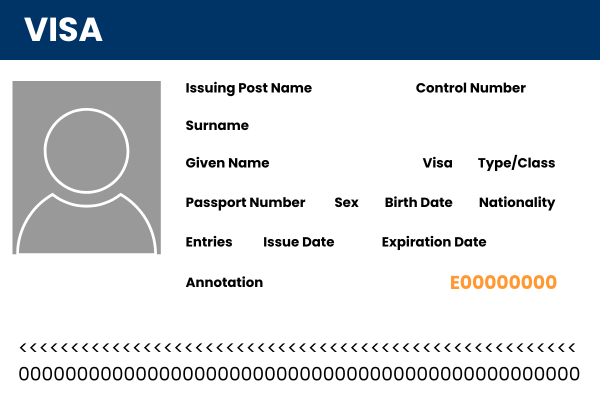 Visa example graphic