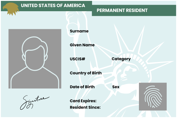 Green card example graphic