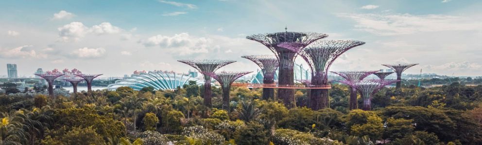 Gardens by the Bay in Singapore