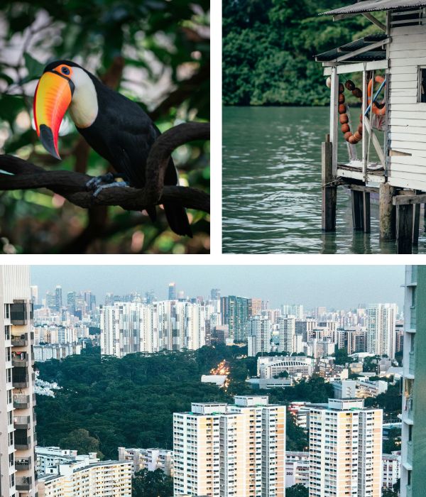 Collage of North Region, Singapore, images