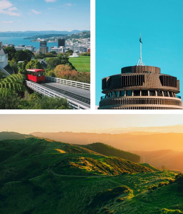 Collage of Wellington, New Zealand, images