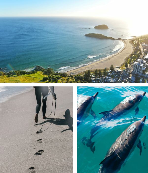 Collage of Tauranga images