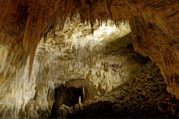 Waitomo caves in New Zealand