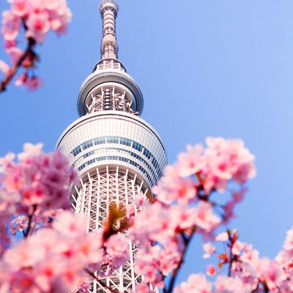 Skyscraper in Tokyo, Japan