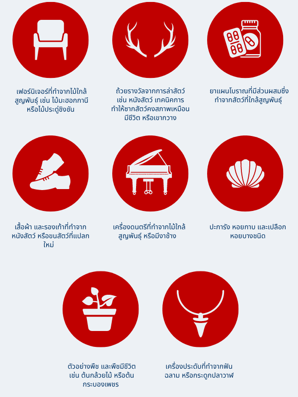 Items that require a CITES permit in Thai