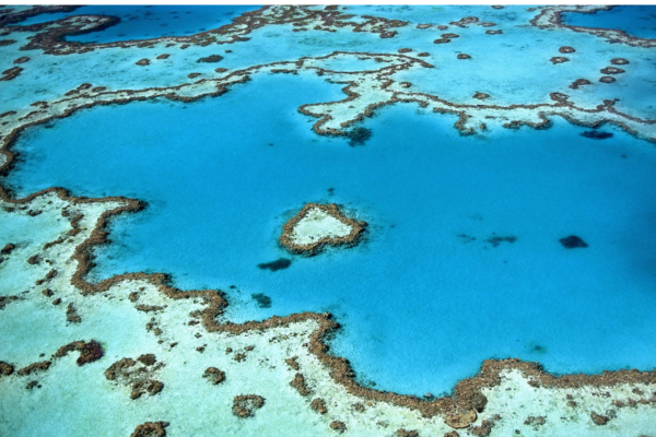 The Great Barrier Reef in Australia