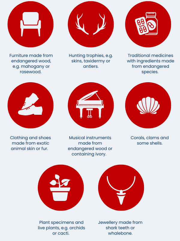 Graphic showing items that requires a CITES permit