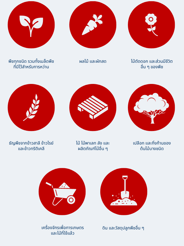 Items that require a phytosanitary certificate in Thai