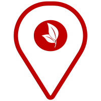 Leaf icon pin