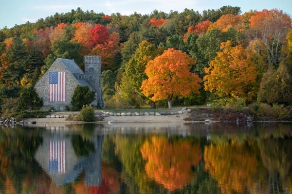 Autumn trees in America