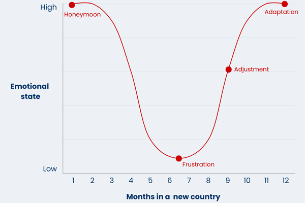 Culture shock curve graph