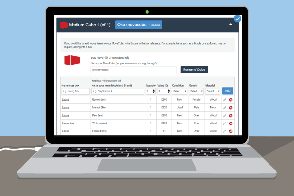 Laptop showing a screenshot of an inventory for a MoveCube